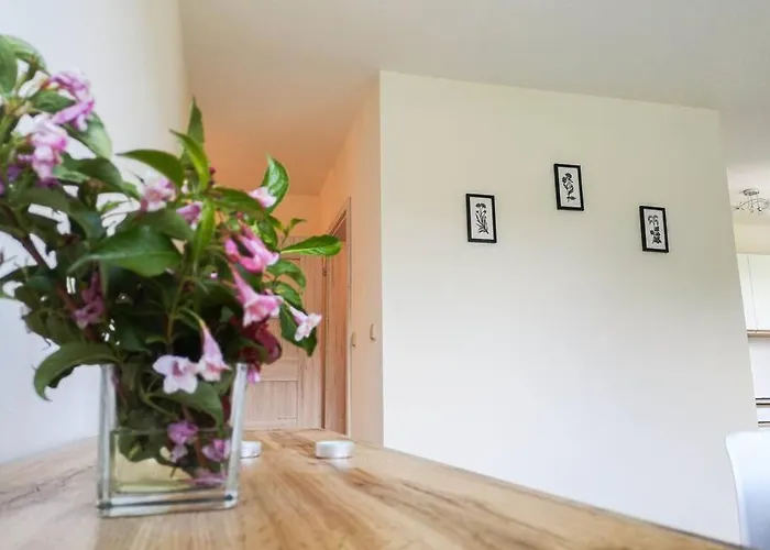 Appartamento Hubertus *